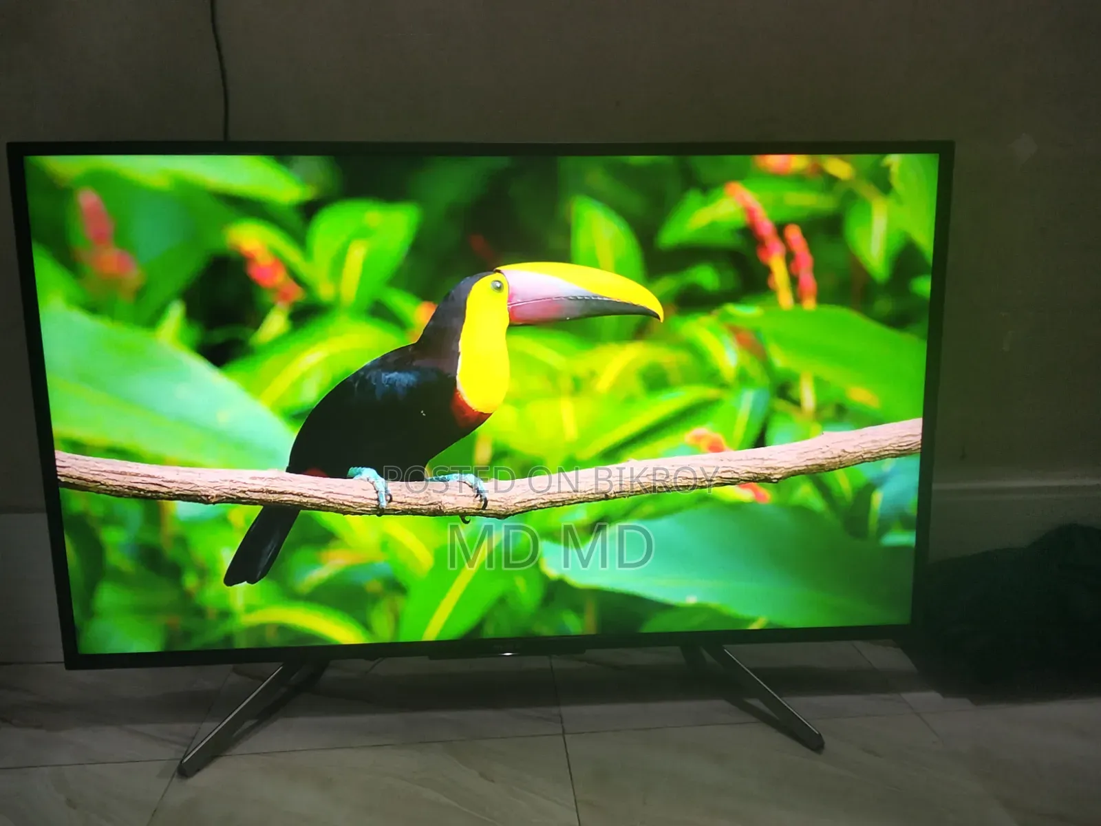 Sony Television