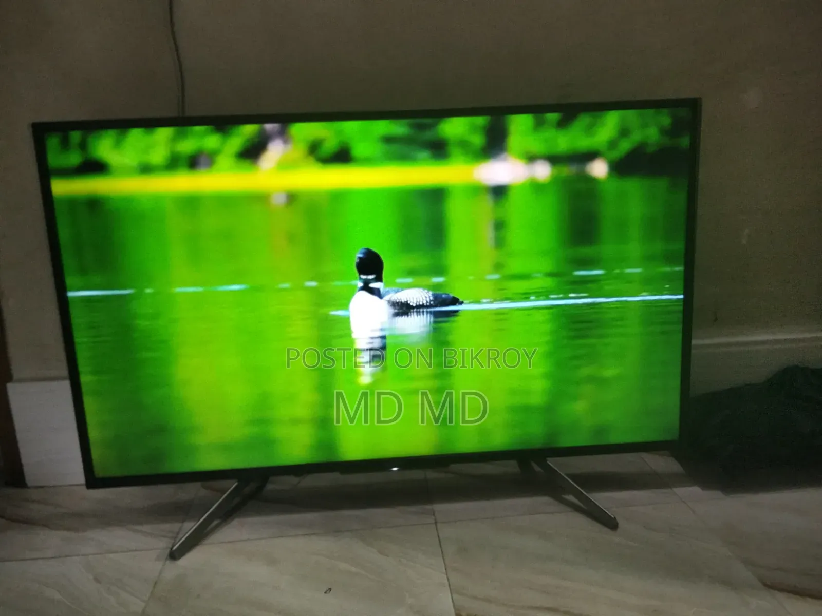 Sony Television