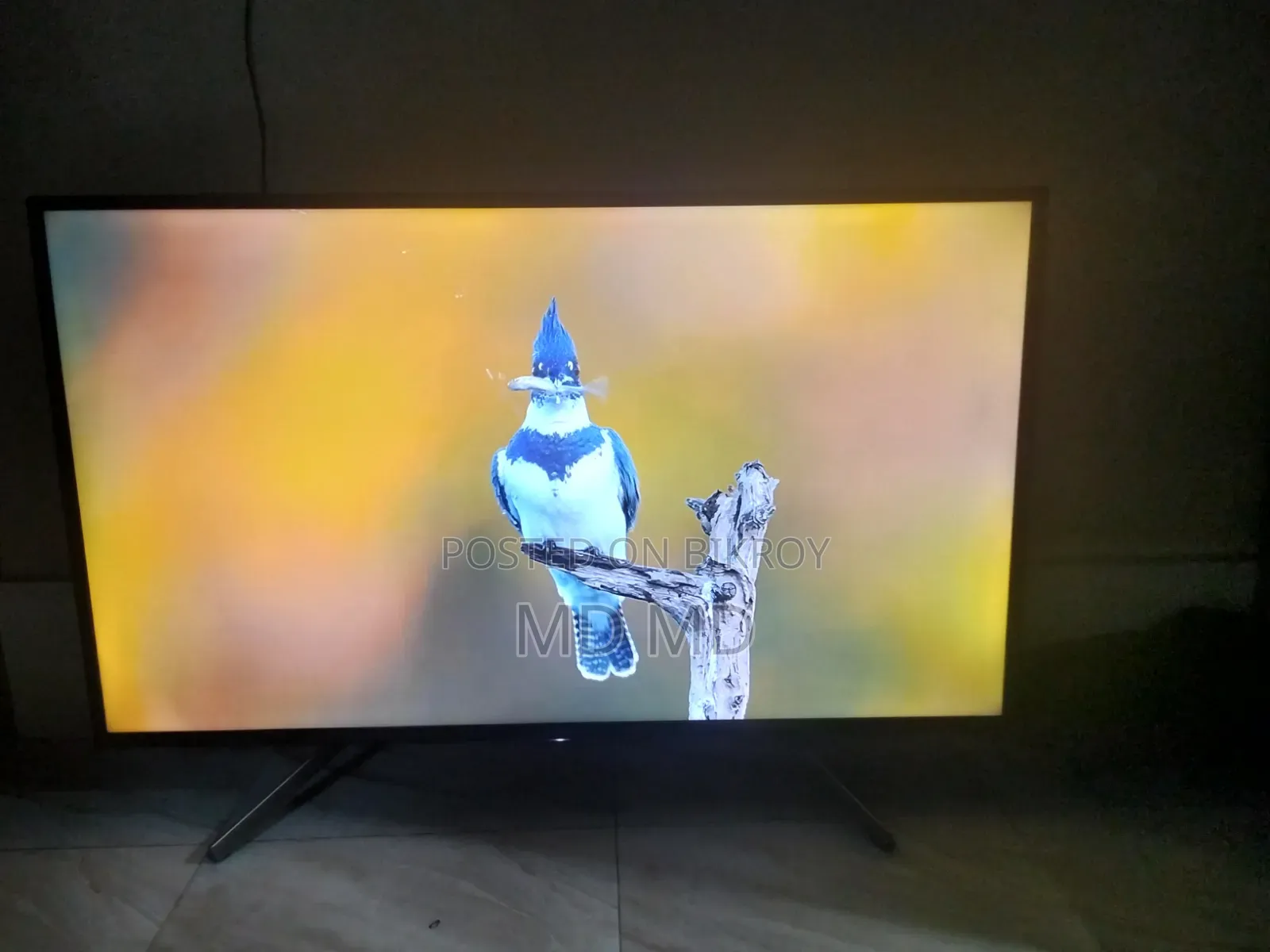 Sony Television