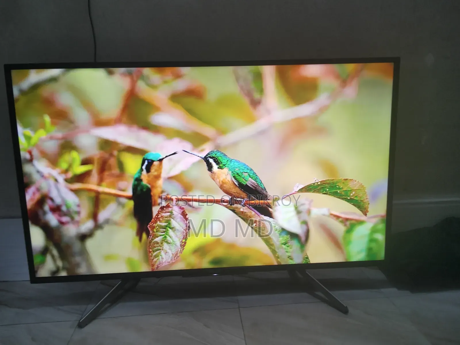 Sony Television