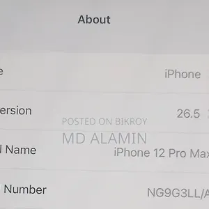 Apple iPhone 12 Pro Max 256 GB White
