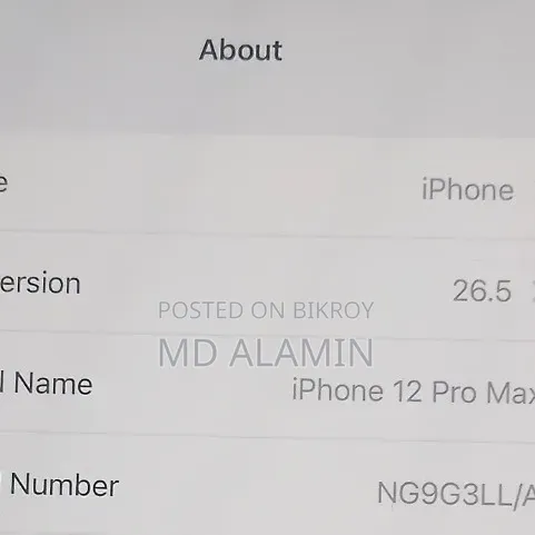 Apple iPhone 12 Pro Max 256 GB White