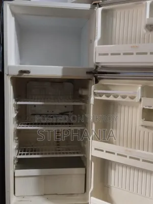 Singer Fridge
