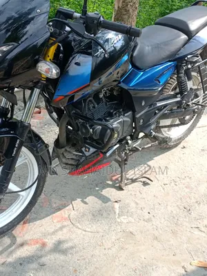 Bajaj Pulsar 150 2019 Blue