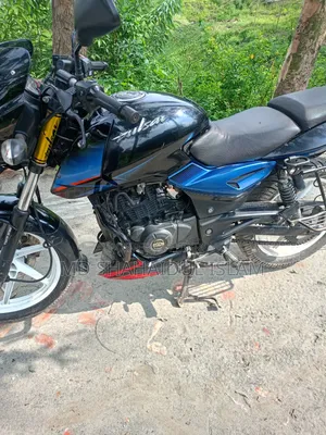 Bajaj Pulsar 150 2019 Blue