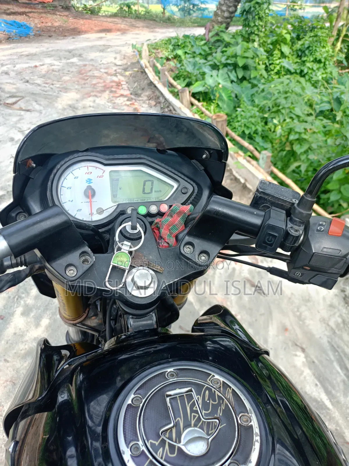 Bajaj Pulsar 150 2019 Blue