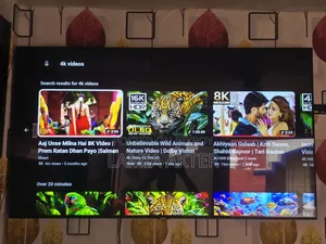Samsung 55" Voice Control Tv (Replacement Guarantee)