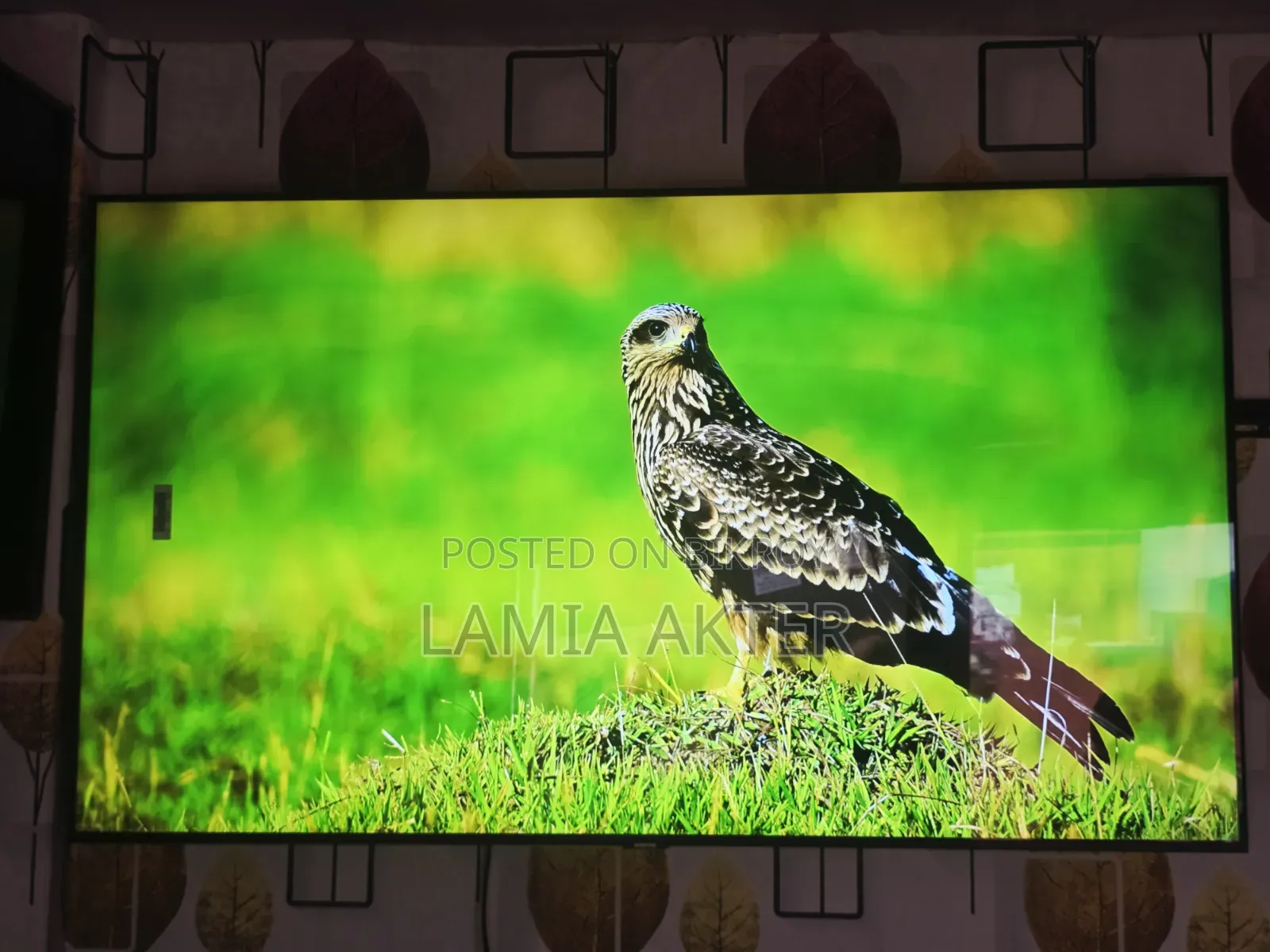 Samsung 55" Voice Control TV (Replacement Guarantee)
