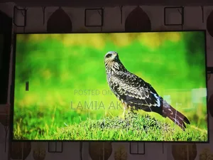 Samsung 55" Voice Control TV (Replacement Guarantee)