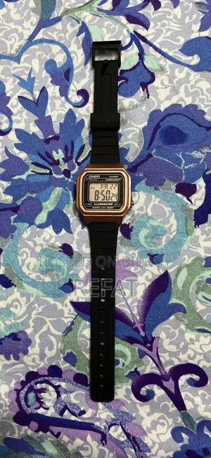 Casio W217h