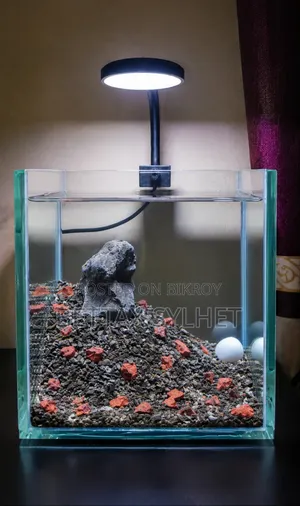 Desktop Betta Tank