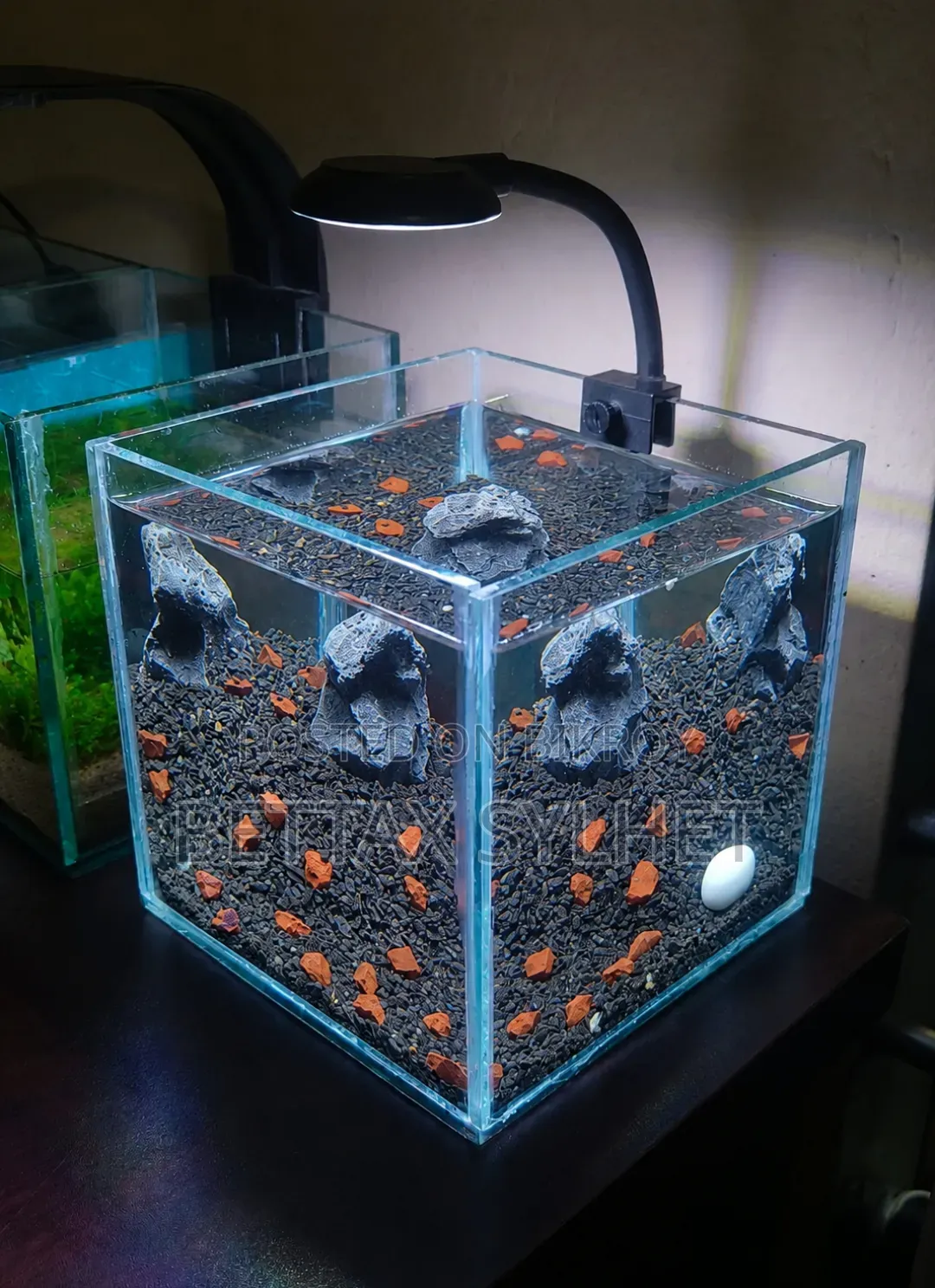 Desktop Betta Tank