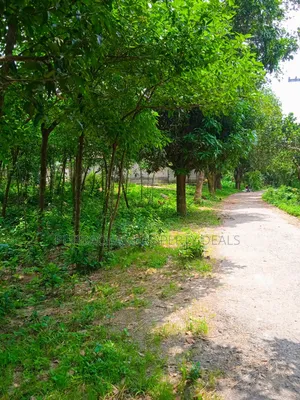 কালিগঞ্জে ১০৫ শতাংশ টিলা প্রকৃতির মাঝে বাগানবাড়ির জমি বিক্রয়