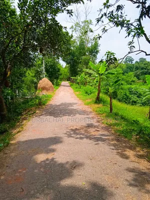 কালিগঞ্জে ১০৫ শতাংশ টিলা প্রকৃতির মাঝে বাগানবাড়ির জমি বিক্রয়