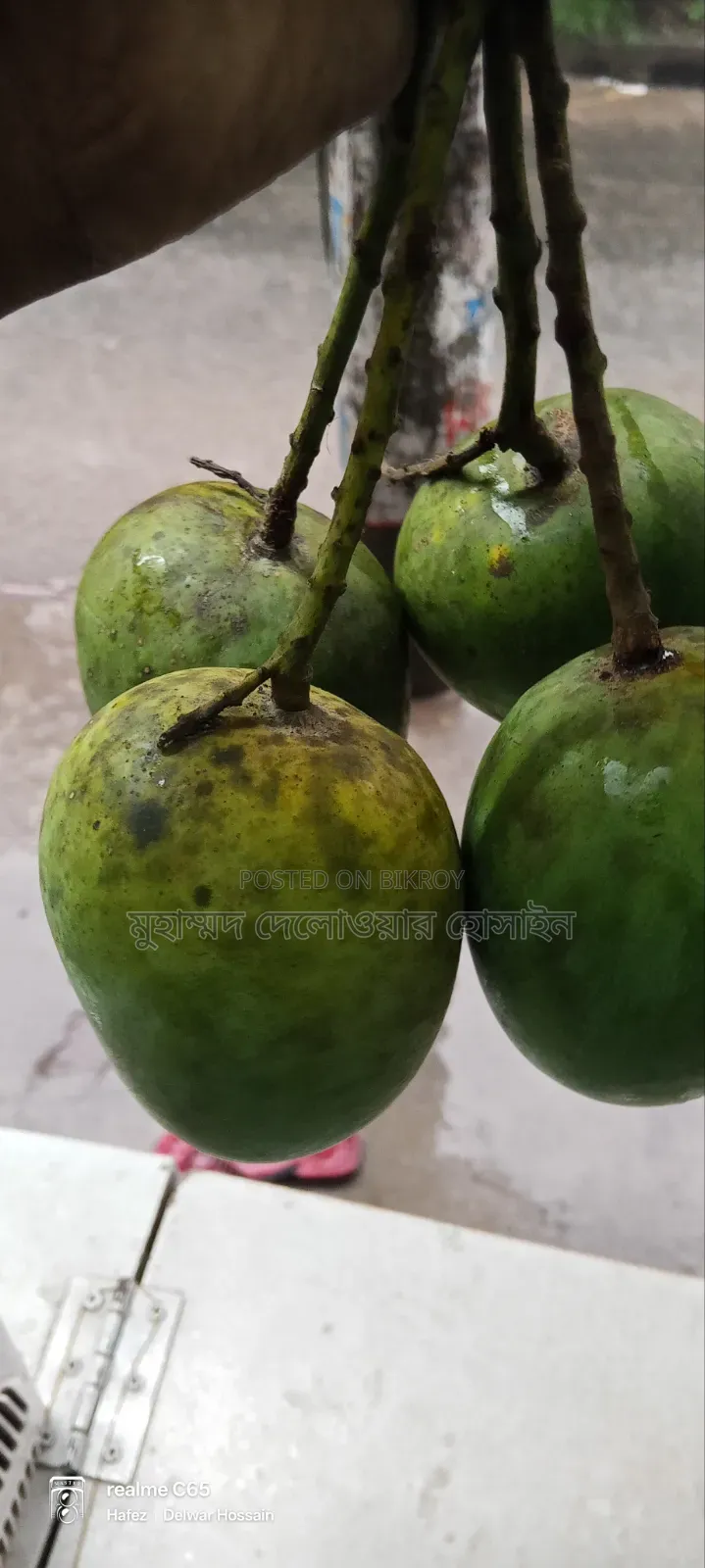 সাতক্ষীরার আসল হিমসাগর আম