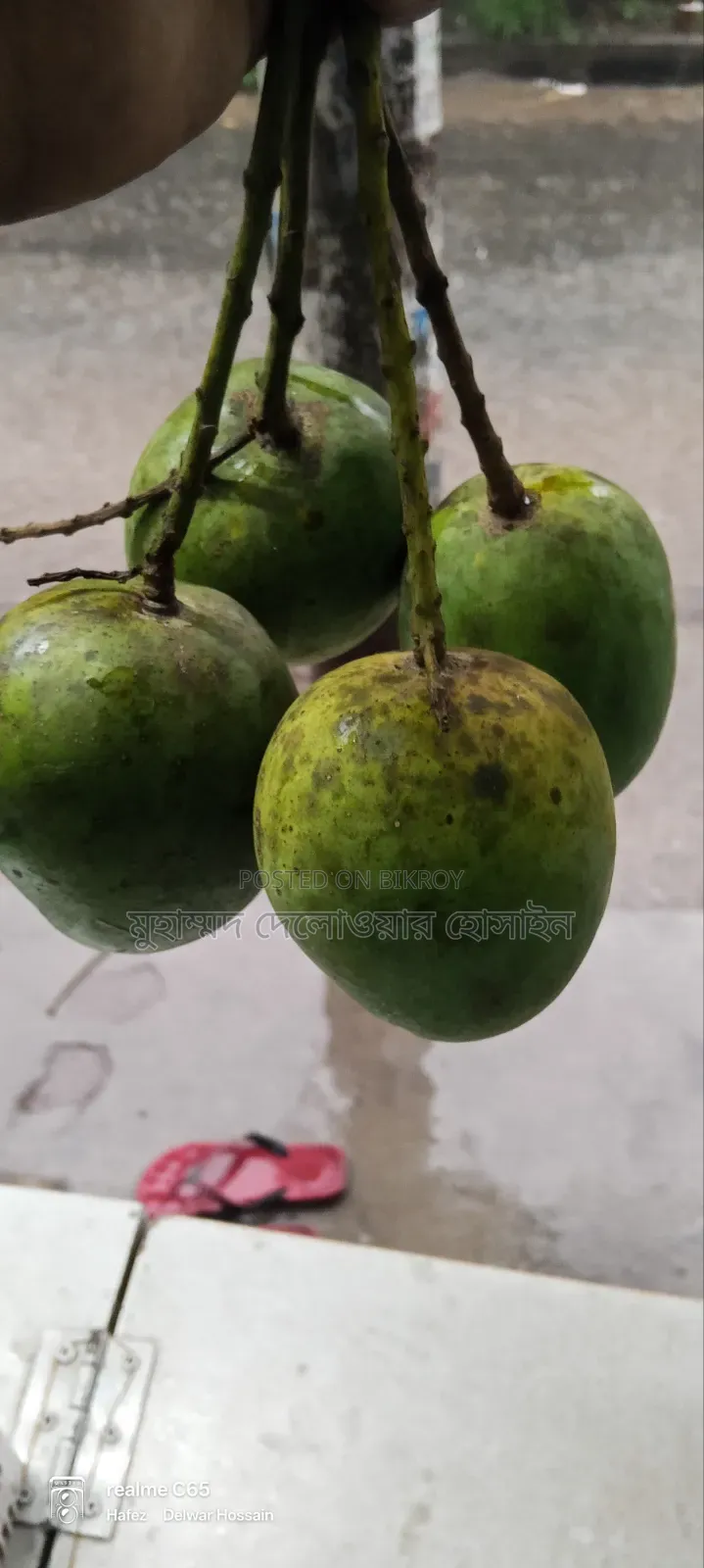 সাতক্ষীরার আসল হিমসাগর আম