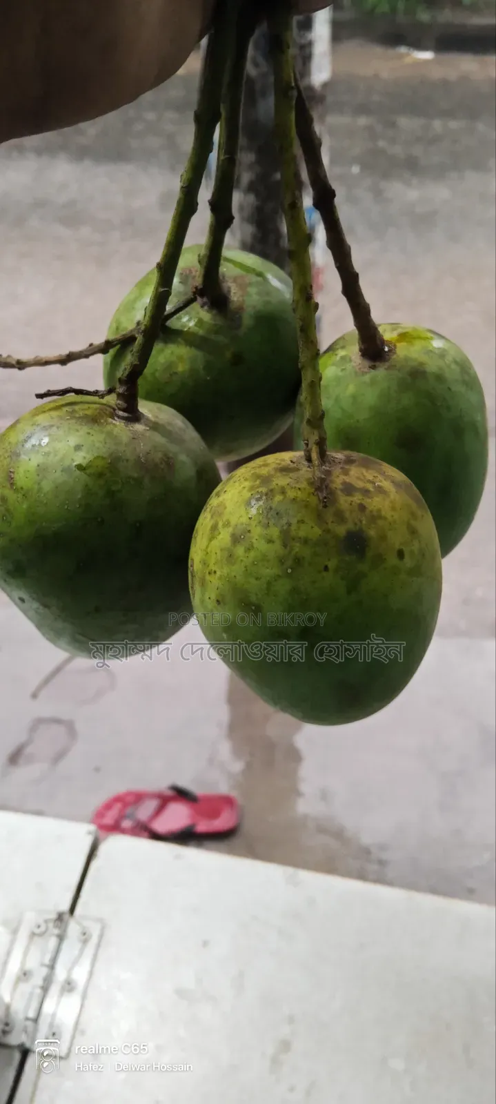 সাতক্ষীরার আসল হিমসাগর আম