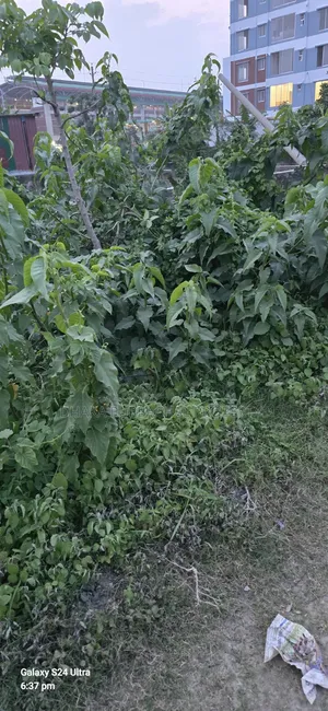 রাজউক পূর্বাচল ৪০ ও ৩০ ফিট কর্নার প্লট বিক্রয়