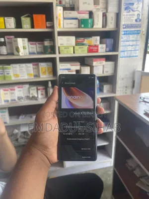 Vivo X70 Pro 256 GB Blue