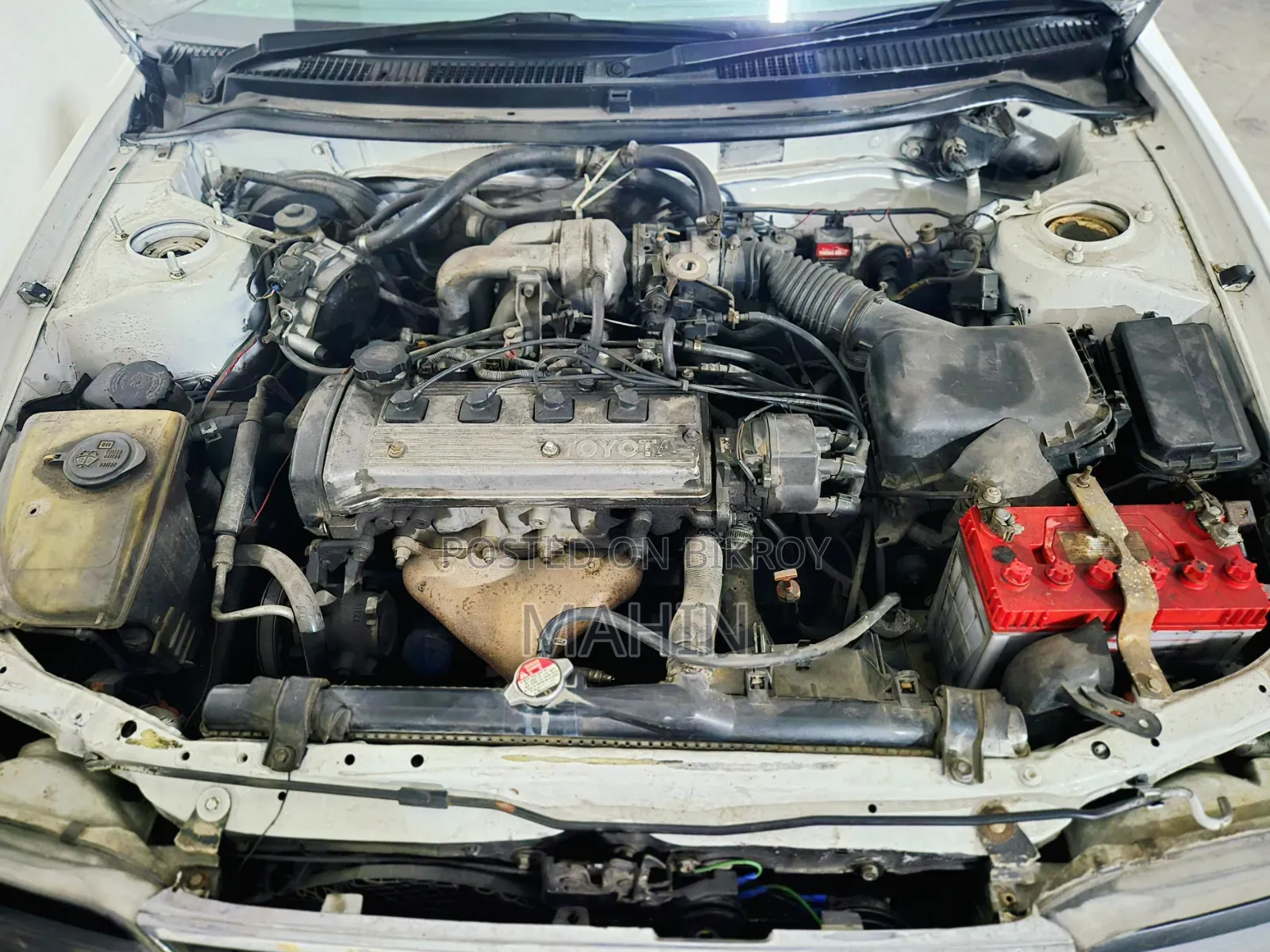Toyota Corolla 1999 White