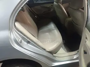 Toyota Axio 2010 Silver