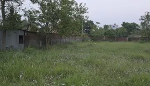 3 Bigha Land for Sale near Kanchan Bridge - Bhulta Gausia Asian Highway