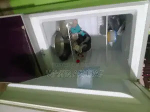 সিঙ্গার রিফ্লেকশন ফ্রিজ