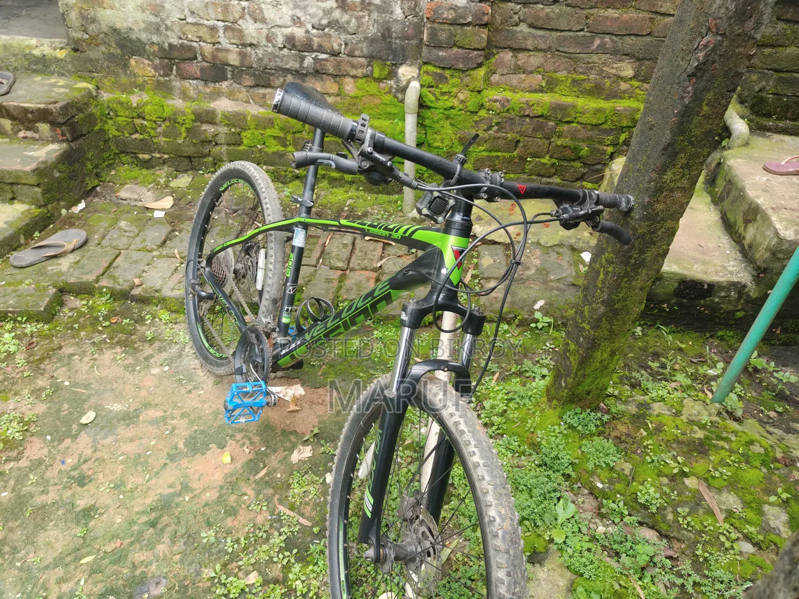Veloce Legion 30. Fresh Condition