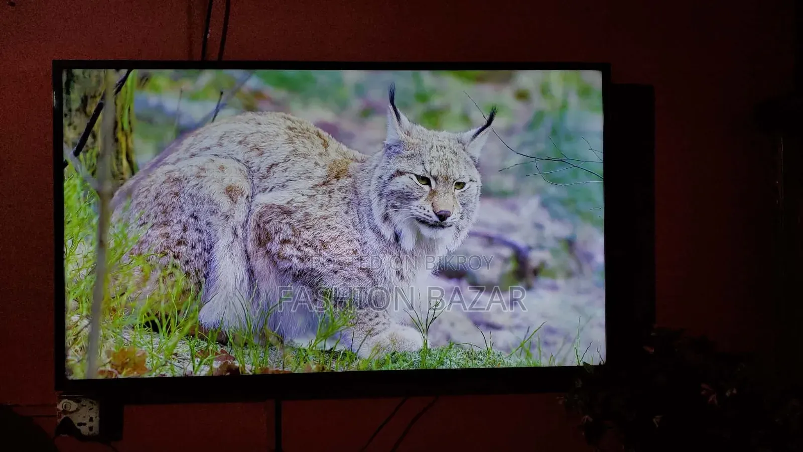 Jvco 50" You Smart Led Tv