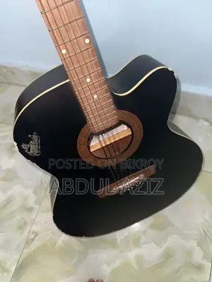 Original Signature Loud Guitar (Bose Enterprise)