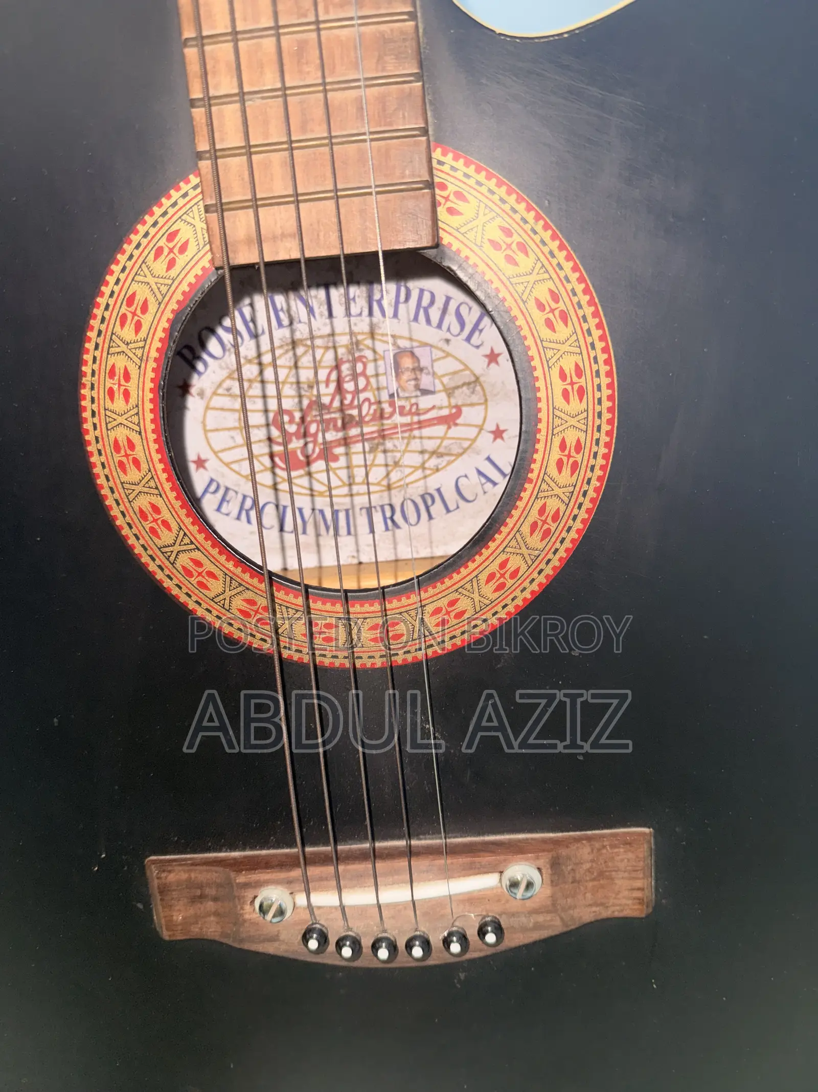 Original Signature Loud Guitar (Bose Enterprise)