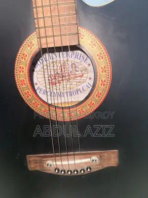 Original Signature Loud Guitar (Bose Enterprise)