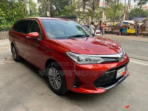 Toyota Corolla Fielder 2018 Maroon