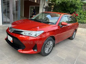 Toyota Corolla Fielder 2018 Maroon