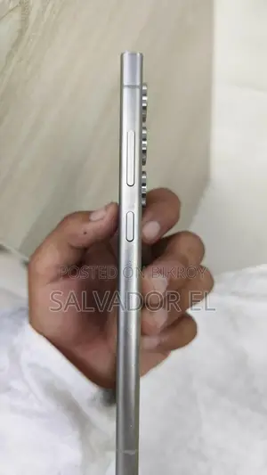 Samsung Galaxy S24 Ultra 256 GB Gray