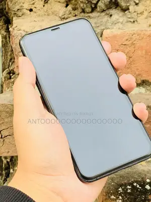 Apple iPhone 11 Pro Max 256 GB Gray