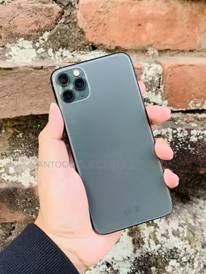 Apple iPhone 11 Pro Max 256 GB Gray