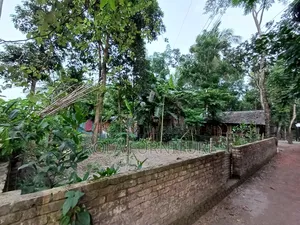 4 Sotansho for Sell 23 No Ward Barishal