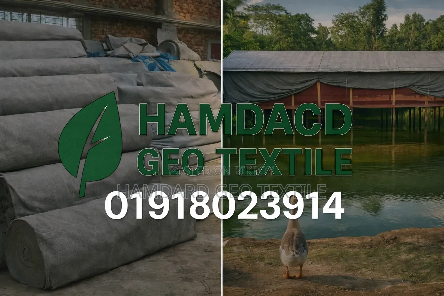 Struggling with Heat in Your Poultry Farm? Use Geo-Sheet
