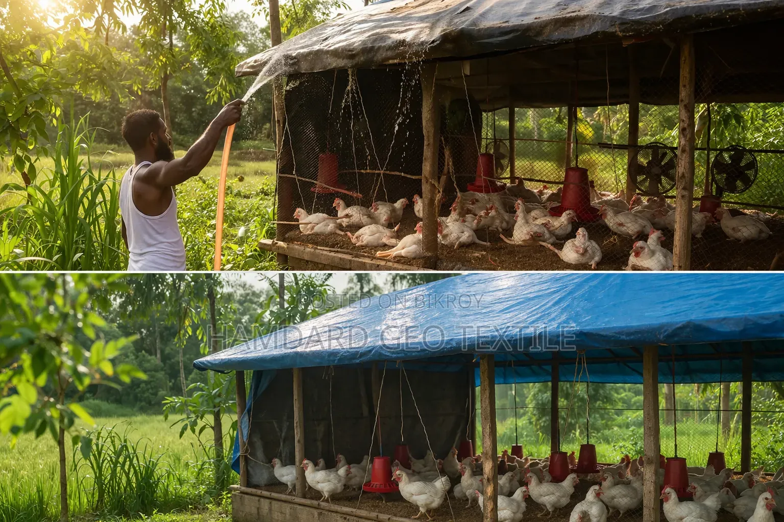 Struggling with Heat in Your Poultry Farm? Use Geo-Sheet