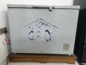 Lg Eco Plus Deep Fridge for Sale