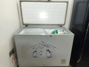 Lg Eco Plus Deep Fridge for Sale