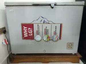 Lg Eco Plus Deep Fridge for Sale