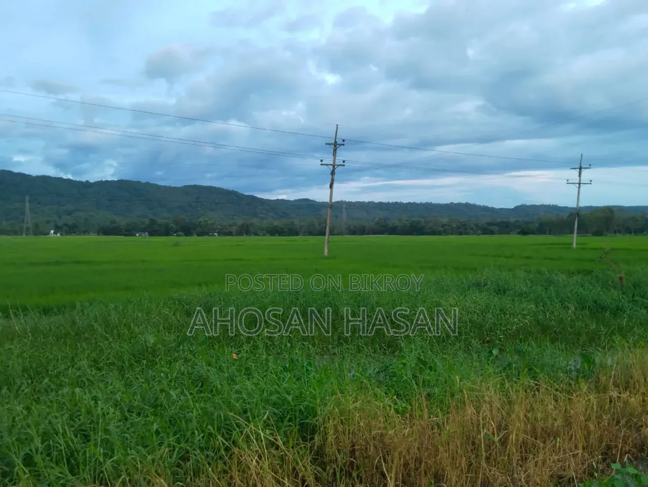 Industrial Land