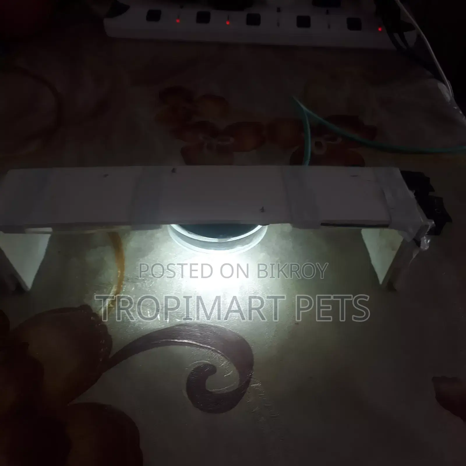 (New) Make Your Custom Light for Aquarium Home Delivary Available