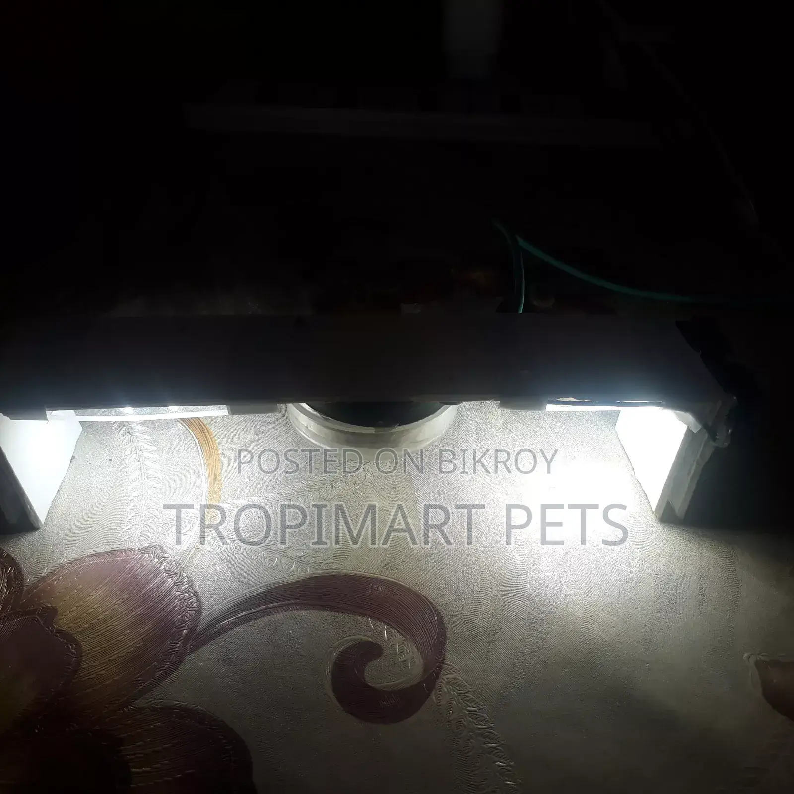 (New) Make Your Custom Light for Aquarium Home Delivary Available