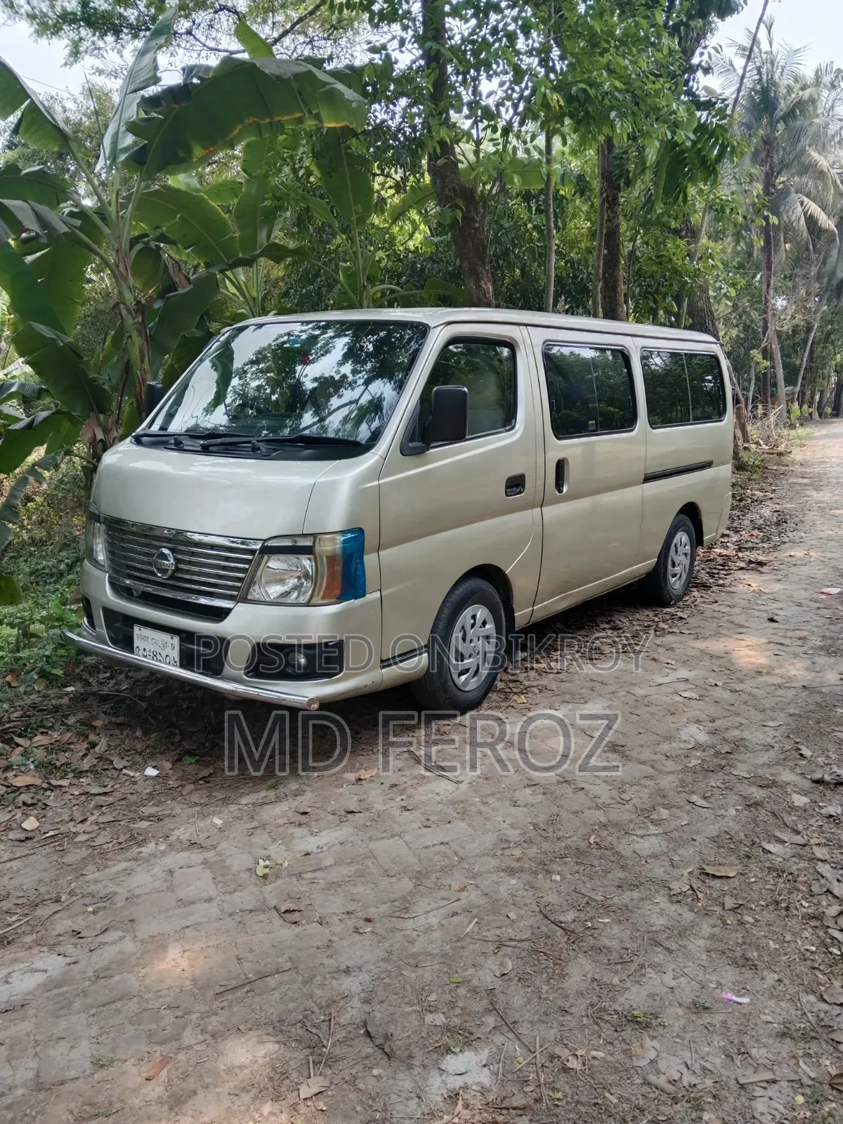 New Nissan Caravan 2010 Beige