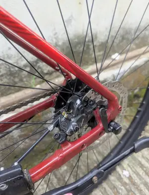 Veloce V300