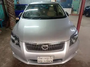 Toyota Axio 2010 Silver