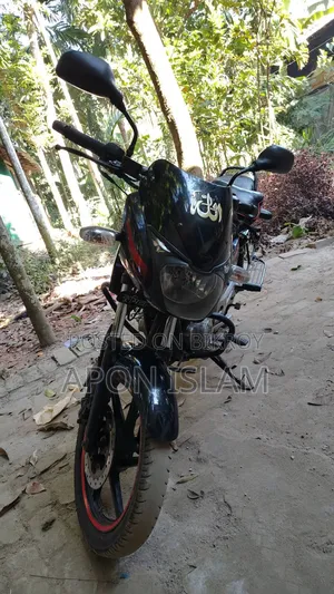 Bajaj Pulsar 150 2017 Black